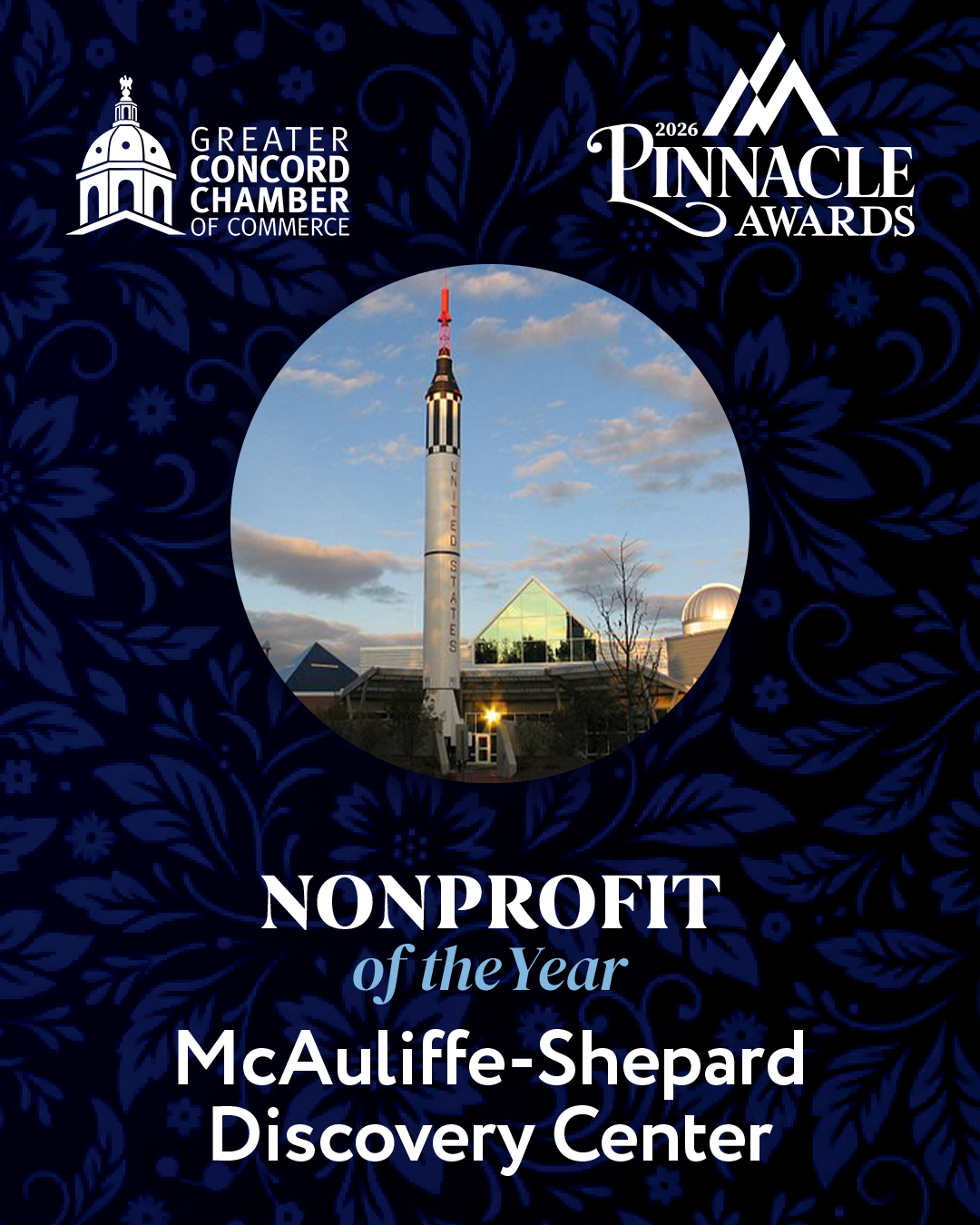 pinnacle-carousel-2026_0003_Nonprofit